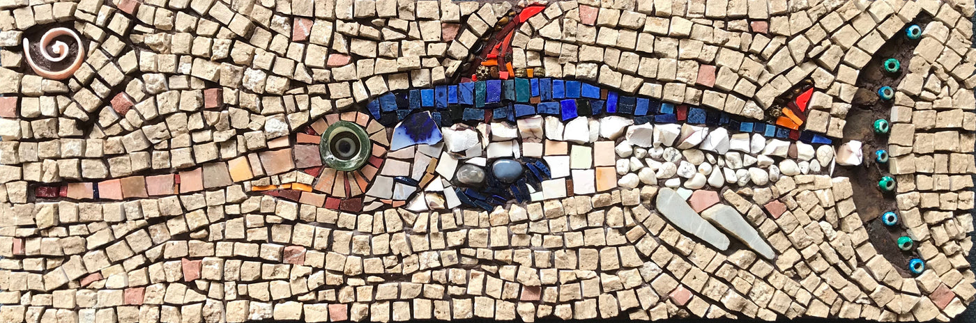 Aquatic Life - reflections from Italy - Exhibition February 2019