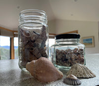 shell collection 