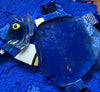 WinterCreek Mosaics Small work Mosaic - Blue Fish